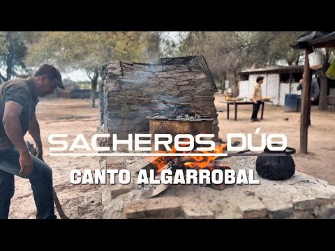 Canto algarrobal - sesión Monte Quemado.