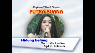 Download lagu HIDUNG BELANG || LILIN HERLINA || PUTRA BUANA mp3 Download lagu HIDUNG BELANG || LILIN HERLINA || PUTRA BUANA mp3