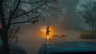 a foggy night...