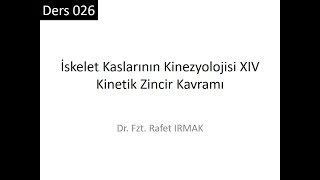 Kinezyoloji 01 Ders 026: İskelet Kaslarının Kinezyolojisi XIVKinetik Zincir Kavramı