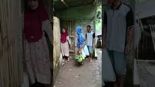 Download lagu Komedi Sunda #fyp #viral  mp3