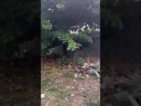 Half Plot of Dry Land for Sale at Glory Land Estate, Ago Palace Way