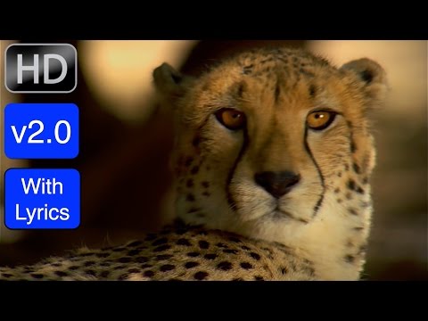 NEW! Version 2.0 (with Lyrics): "Creation Calls" Worship Music Video in 1080p