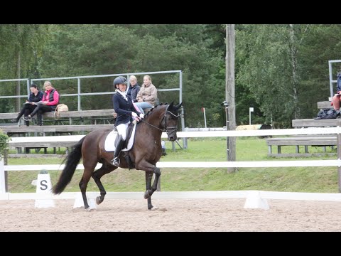Stella Hagelstam ja Hagels Prince Nassak. Hevosurheilu