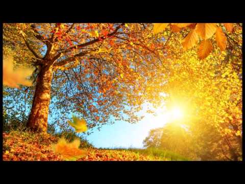 Sunlight Project - Golden Autumn  [Progressive House]