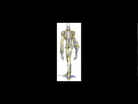 Silver's Favorite VGM #219 - Chaos Theme