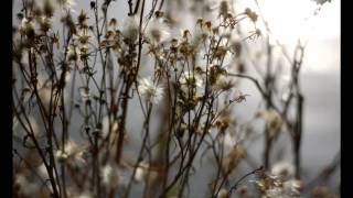 Christian Löffler - The War