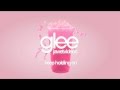 Glee Cast - Keep Holding On (karaoke version ...