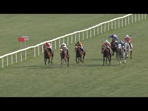 6. dostih - 63. Velká dubnová cena společnosti Tipsport - dostihy Chuchle Arena Praha 25. 4. 2021