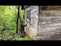 A Year In An Abandoned House Alone Off Grid Far From Civilization