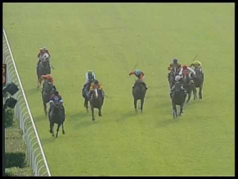 2017-07-30 Macau Meeting Race 5(0337) - THE ALTRUISTIC