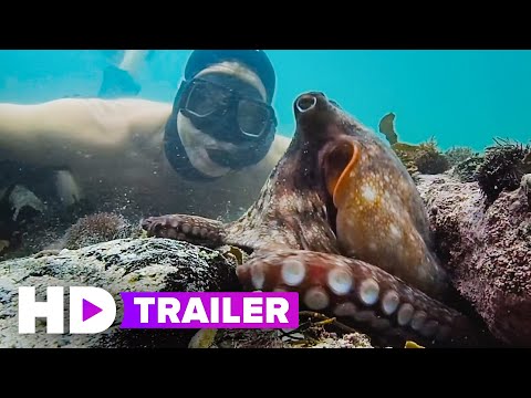 Youtube video still for Science on Screen: My Octopus Teacher (2020)