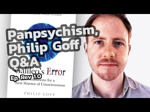 Panpsychism, Philip Goff Q&A