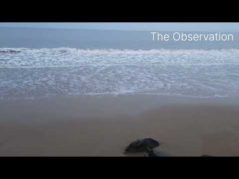 Sea sore | Beautiful View | Must watch #viral #video