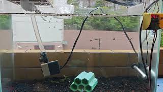 [問題] 這樣水流會不會太強?