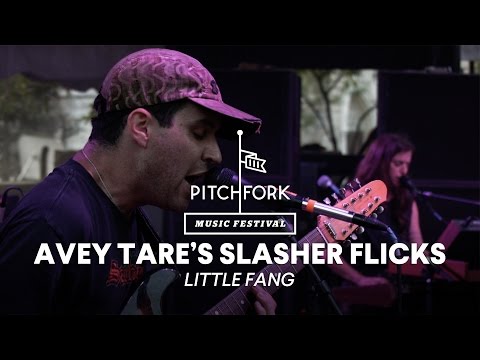 Avey Tare's Slasher Flicks perform "Little Fang" - Pitchfork Music Festival 2014