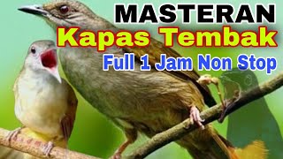 Download lagu Masteran Kapas Tembak [Full 1 Jam Non Stop]‼️@rmbfchannel​ mp3