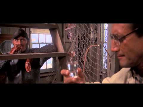 here's to swimmin' with bow legged women