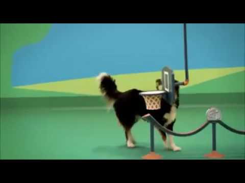 Playing is good for your health