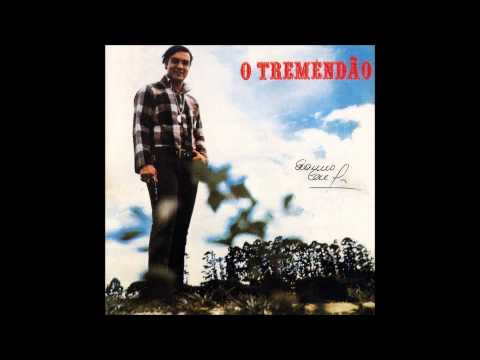 Não Vivo Sem Você - Erasmo Carlos