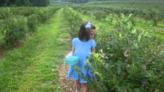 preview picture of video 'Esther Miriam at Alstede Farm in Chester, New Jersey, August 2, 2014'