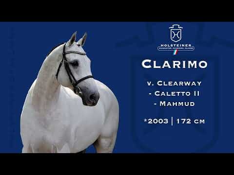 Holsteiner Verbandshengste 2023 | Clarimo