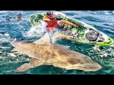 Fishing Bloopers!!! Fish Bloopers Funny Chew On This Shark Grouper 2017