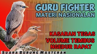 Download lagu GURU BURUNG FIGHTER!! VOLUME TEMBUS NGEDUR RAPAT || MASTERAN TEMBAKAN RAPAT Untuk Burung FIGHTER mp3