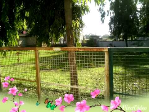 GKV Haridwar General video thumbnail 3