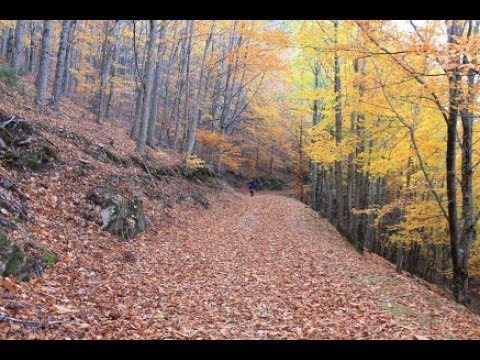 2018 Som de Água Corrente para Dormir, Relaxar, Estudar