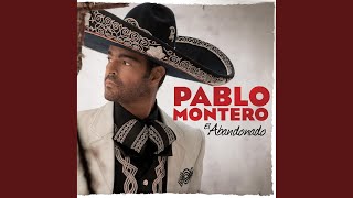 Tú Solo Tú Lyrics English Translation