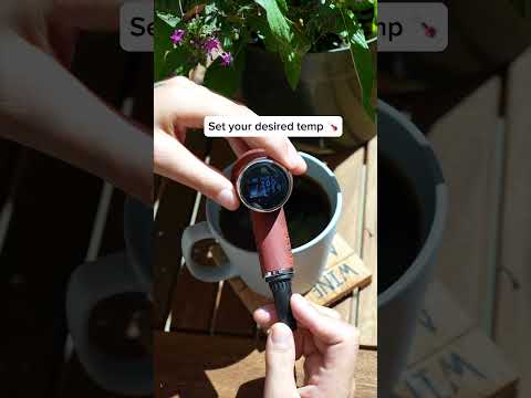 Cipher Nautilus Dry Herb Vaporizer Wake And Bake