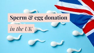 Sperm and egg donation in the UK | Fertility expert Q&A