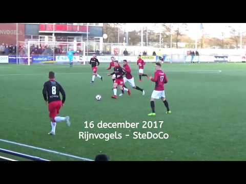 Rijnvogels - SteDoCo 16-12-2017