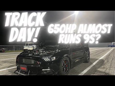 650WHP MUSTANG SURPRISES EVERYONE AT THE TRACK BY ALMOST RUNNING 9S! (Full stangry track day)