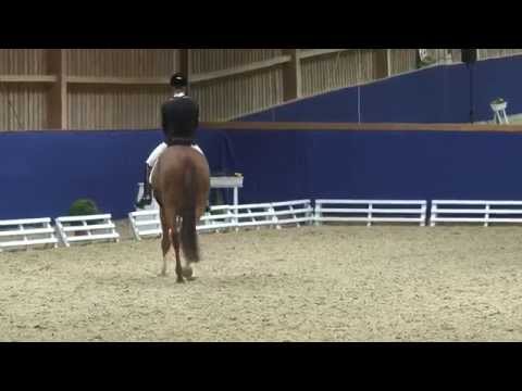 10 - Sabine Klenk - Fiolento de la Rosso- www.equideo.tv