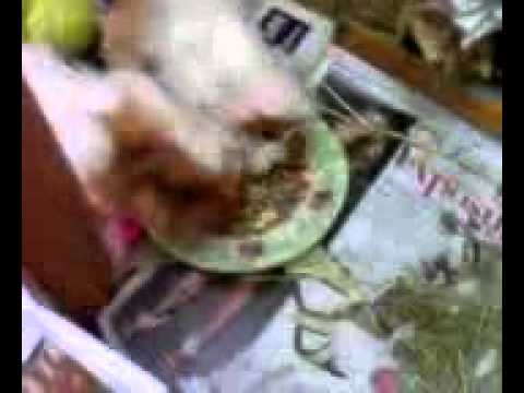 Mix Snack from Canada