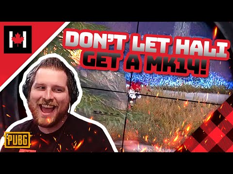 Halifax Can't Get Enough Frags! - PUBG Solo Gameplay