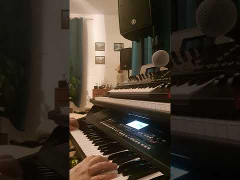 Lambada / Daniel Acsenti/ Korg Pa 300