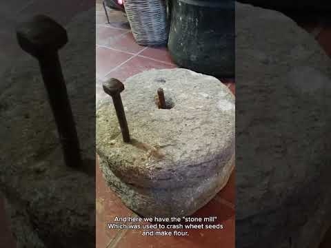 Video 5
