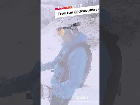 Seki onsen / Top 15 Japow snow resorts #japow #ski #myoko  #gopro #vectorglide