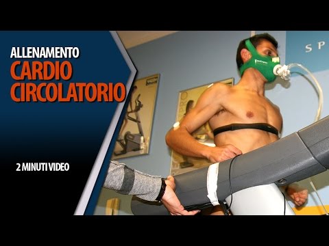 Come prendere le uova di quaglie della potenza sessuale Bambine peni grandi