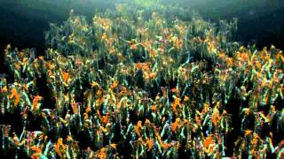 ENIGMA -- A Part Of Experience (Fato Deejays Boot Medley/with The Big)