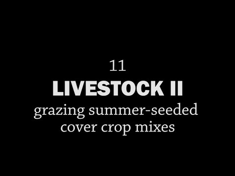 Rotationally Raised - Livestock II: Grazing Summer-seeded Cover Crop Mixes