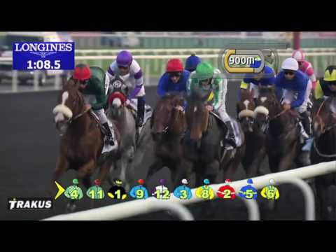 DWC 2016 Race 4 - UAE Derby Sponsored By The Saeed & Mohammed Al Naboodah Group