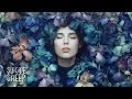 Whethan Can T Hide Feat Ashe