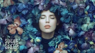 Whethan - Can&#39;t Hide (feat. Ashe)