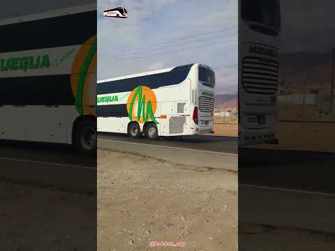 Transportes Moquegua | Premium | Comil Campione Invictus DD #busologia #volvo #tacna #ilo #lima