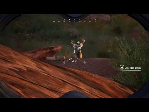 Legendary Mule deer  hunting sim 2