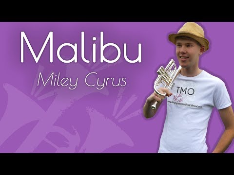 Miley Cyrus - Malibu (TMO Cover)